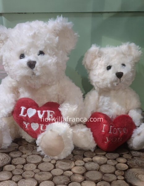 Teddy bear con cuore